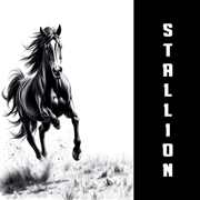 Stallion – Old Fashioned Boy (2024) FLAC